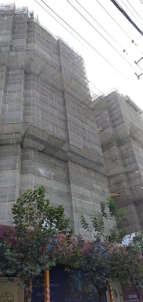 建筑建材企業(yè)商情 洞察市場脈搏，把握發(fā)展機遇